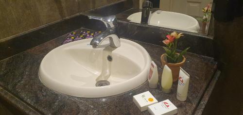 La salle de bains est pourvue d'un lavabo et d'un robinet. dans l'établissement River Nile Edge Boutique Hotel & Restaurant, au Caire