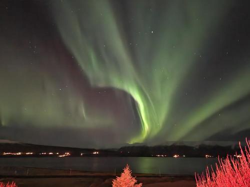 Fotografie z fotogalerie ubytování North Inn - Guesthouse and Cabin v destinaci Akureyri