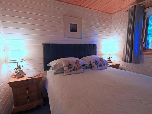 a bedroom with a bed with pillows and two lamps at The Spinney Lodge in Jedburgh