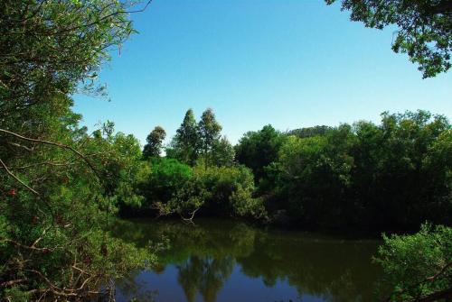 vistas a un río con árboles y arbustos en El Betete-Disfrute de la Sierra de las Animas, en Pan de Azúcar