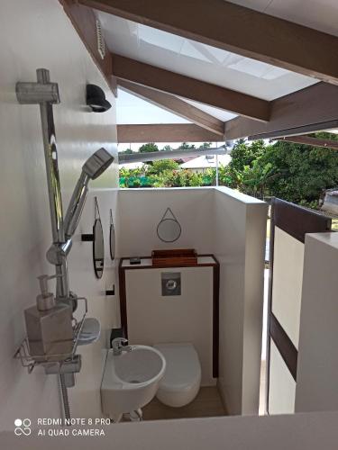 a bathroom with a white toilet and a sink at La Maison Du Voyage in Tevaitoa