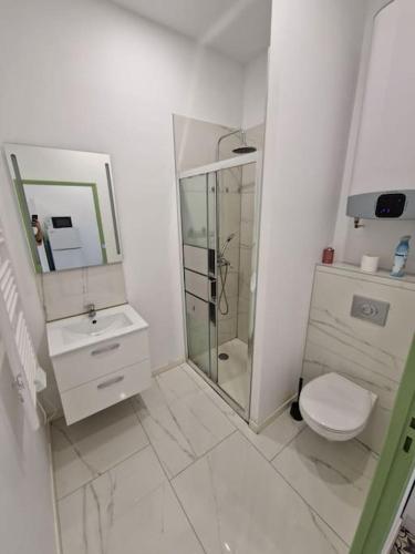 bagno bianco con doccia e servizi igienici di T1 BIS 1 chambre a Saint-Étienne