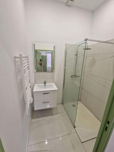 bagno con doccia, lavandino e specchio di T1 BIS 1 chambre a Saint-Étienne