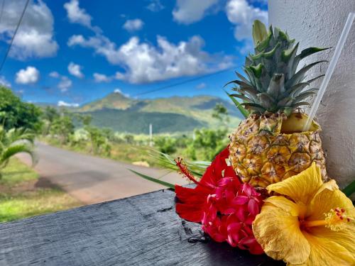 a pineapple sitting on a window sill with a flower at Hotel Rincon Rubi in Las Galeras