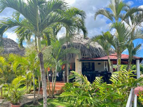 a house with palm trees in front of it at Hotel Rincon Rubi in Las Galeras