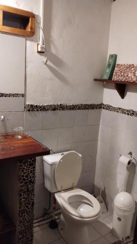 Baño pequeño con aseo y lavamanos en Cabaña Morena en Mar de las Pampas