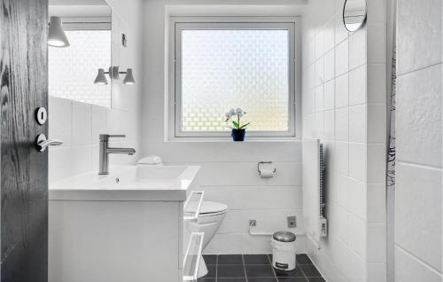 ein weißes Bad mit einem Waschbecken und einem WC in der Unterkunft Gorgeous Home In Glesborg With Wifi in Glesborg