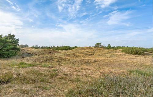 an open field with trees on top of a hill at Holiday Home Sandtoftevej Blåvand in Blåvand