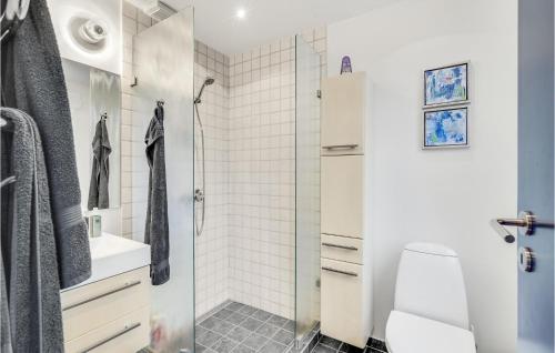 a white bathroom with a shower and a toilet at Awesome Home In Haarby With Jacuzzi, 3 Bedrooms And Wifi in Hårby