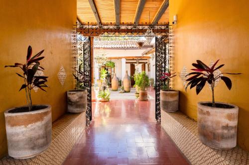 a hallway with a mirror and potted plants at Casa I. Madero in Tapalpa