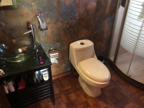 La salle de bains est pourvue de toilettes et d'un lavabo. dans l'établissement Cabaña de las Flores. Magia en la laguna, à Santa María del Oro
