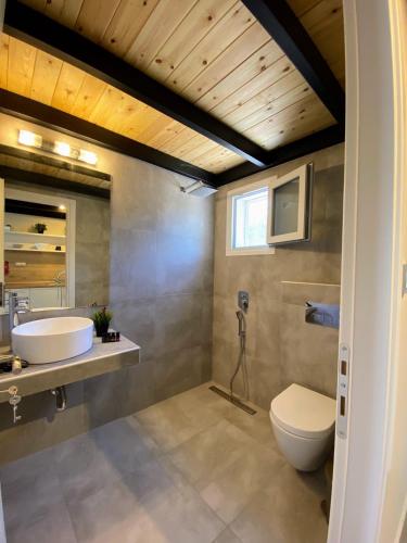 a bathroom with a white toilet and a sink at olea resort in Iraklitsa
