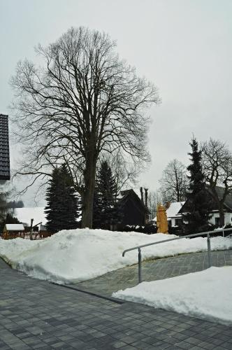 Apartmány pod lípou durante el invierno
