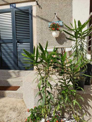 a house with a blue door and some plants at Luxury apartments SKALINADA near beaches, Tisno - Dalmatia in Tisno
