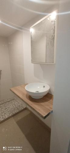 a bathroom with a white sink and a mirror at Chambres privatives avec espaces partagés dans maison Roubaix centre in Roubaix