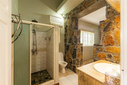 a bathroom with a shower and a sink and a toilet at Beachfront Tamarin Villa in Tamarin