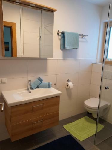 W łazience znajduje się umywalka, toaleta i lustro. w obiekcie Apart Isabella w mieście Brandberg