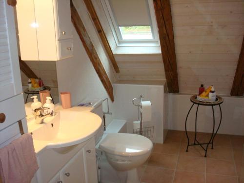 a bathroom with a toilet and a sink and a window at Vogesenparadies in Kirchberg