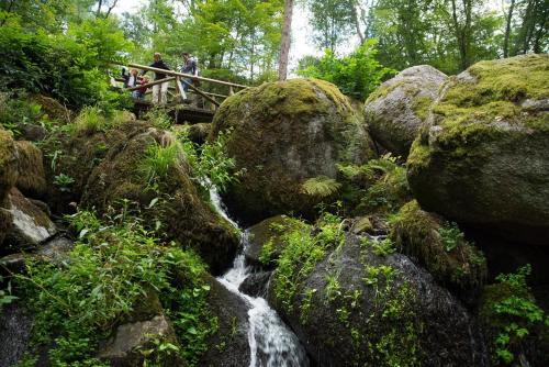 people walking on a bridge over a waterfall in a forest at Terrassenpark Apartments (low budget) in Sasbachwalden