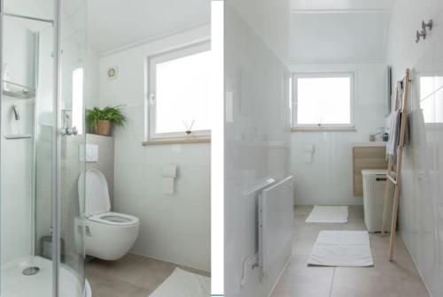 duas imagens de uma casa de banho com WC e lavatório em Natuurhuis Dichtby em Rucphen