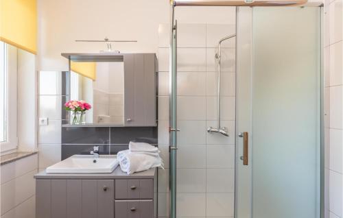 a bathroom with a shower and a sink at Amazing Home In Kamenmost With House A Panoramic View in Kamenmost
