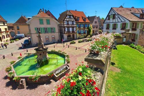 una città con una fontana in un cortile fiorito di Bienvenus au Nid du Traminer a Eguisheim