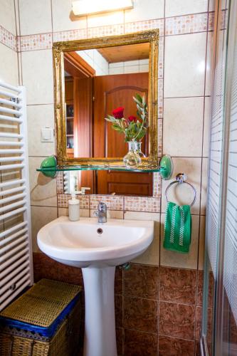 a bathroom with a sink and a mirror at Zoina's House in Leptokarya