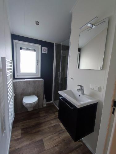 a bathroom with a sink and a toilet and a mirror at Familien und Angelurlaub Overijssel Chalet direkt am Wasser mit eigenem Bootsteg in Kampen