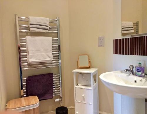 een badkamer met een wastafel en een handdoekenrek bij No 8 in Kington