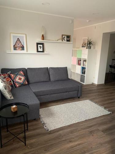 Posezení v ubytování Cozy apartment in Karmelava