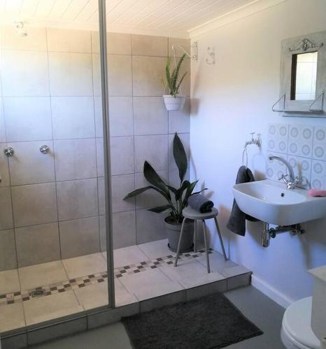 a bathroom with a shower and a sink and a plant at Rose Cottage AtTheDairyShed in Heidelberg