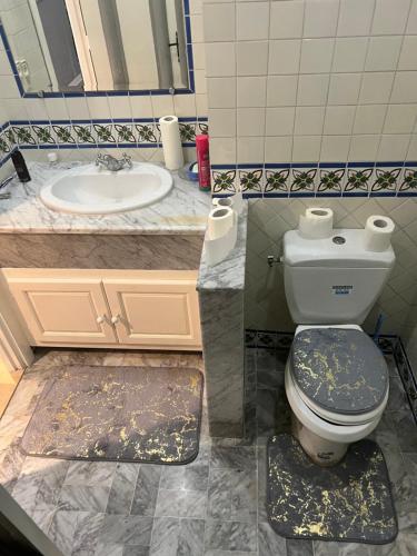 La salle de bains est pourvue de toilettes et d'un lavabo. dans l'établissement APPARTEMENT RAYHAN Yasmine Hammamet, à Hammamet