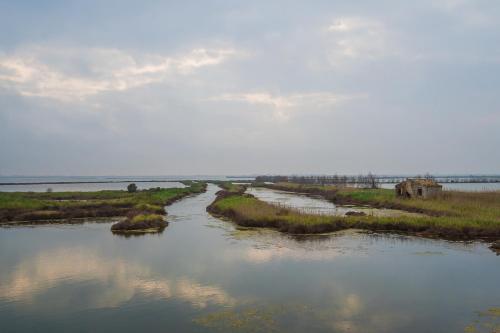 a river with a bridge in the distance and a field at B&B FETONTE in Crespino