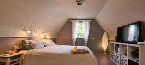 a bedroom with a large bed and a tv at DÉZSAFÜRDŐS TÓPARTI NYARALÓ in Gyékényes
