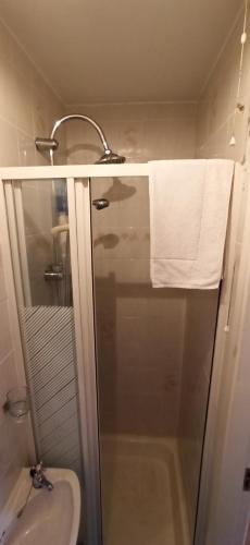 a bathroom with a shower and a toilet and a sink at The Ferry Boat in Portmagee