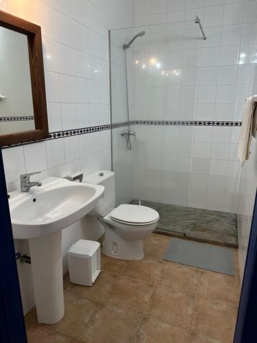 ein Badezimmer mit einem Waschbecken, einem WC und einem Spiegel in der Unterkunft Estudi Es Carnatge in Playa Migjorn