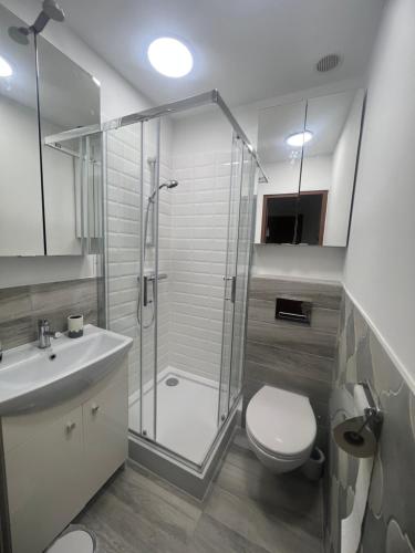 a bathroom with a shower and a toilet and a sink at Mięta Opole in Opole