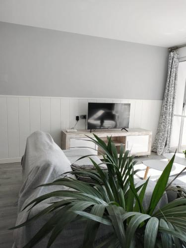 a living room with a couch and a plant at NAUTILUS in Torrevieja