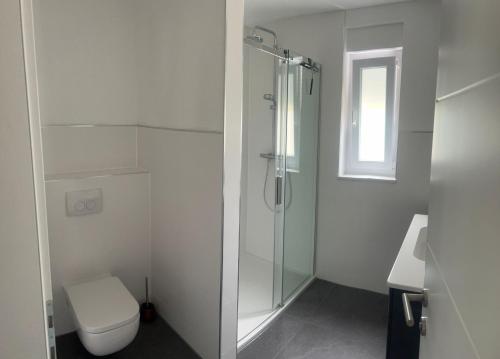 ein weißes Bad mit einer Dusche und einem WC in der Unterkunft Apartmani Lana in Rab