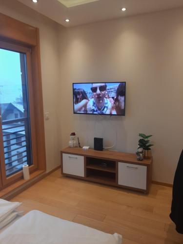 TV a/nebo společenská místnost v ubytování Falcon Zlatibor