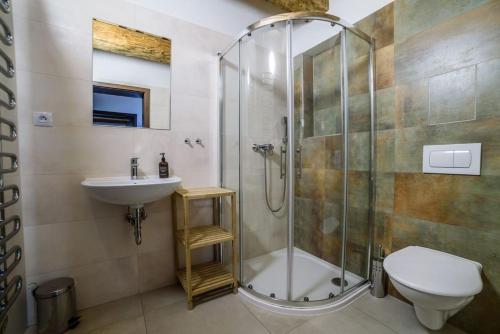 y baño con ducha, lavabo y aseo. en Apartmány Faustin, en Kvilda