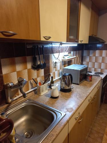 encimera de cocina con fregadero y microondas en Luxury Apartments Bitola en Bitola