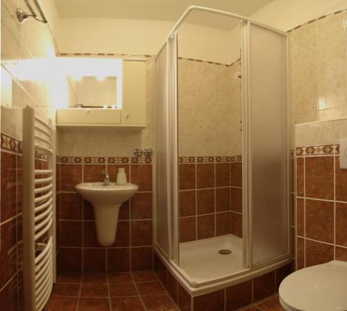 魯哈科維斯的住宿－Vila Bellevue，带淋浴、卫生间和盥洗盆的浴室