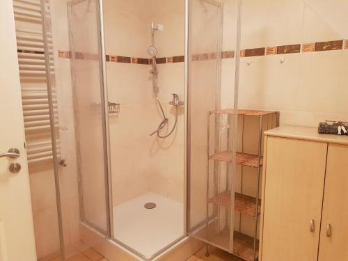 una doccia con box in vetro in un bagno di Villa Seefisch, Wohnung 4 mit Terrasse a Göhren