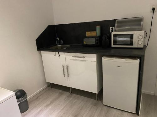 a small kitchen with a microwave and a sink at Blom aan de Gracht in Dordrecht