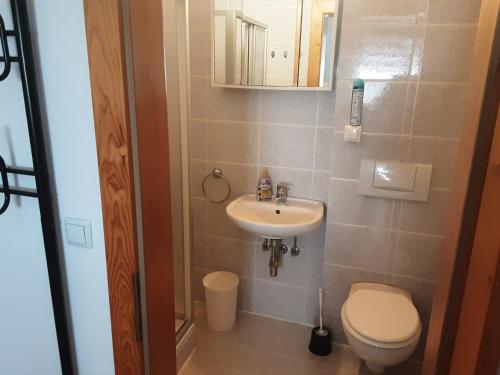 een kleine badkamer met een toilet en een wastafel bij Apartment - Ferienwohnung 2 Treffen am Ossiachersee in Treffen