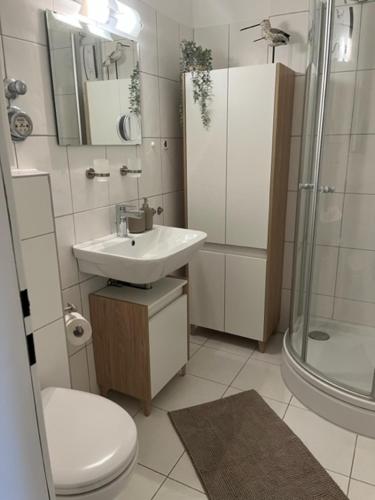 a bathroom with a toilet and a sink and a shower at Quartier Südstrand - Ferienwohnung mit Meerblick in Fehmarn