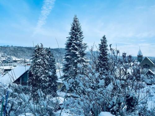 Ferienwohnung mit Talblick für Monteure om vinteren