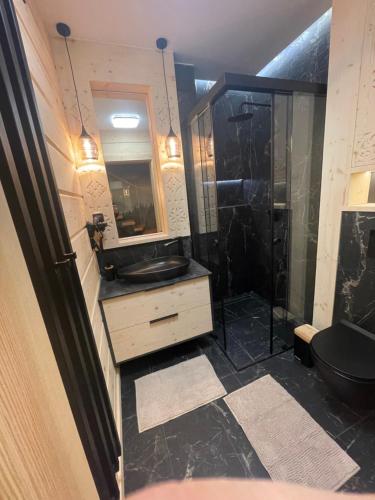 een badkamer met een wastafel en een douche bij Apartamenty Wichrowe Wzgórze in Krynica Zdrój