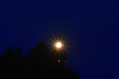 une lumière au-dessus d'un arbre la nuit dans l'établissement BLASK LATARNl, à Niechorze
